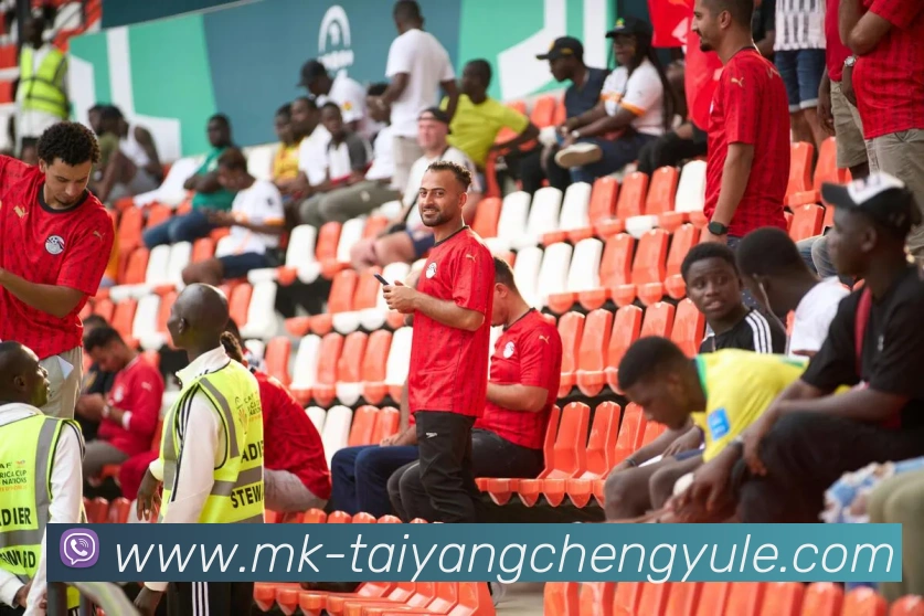 太阳城网站APP 封面图